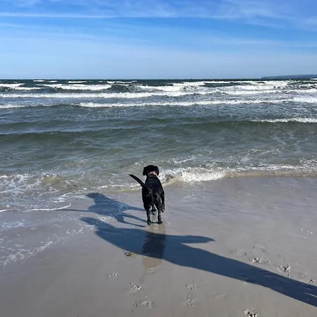 Meinstrandnest * Juliusruh