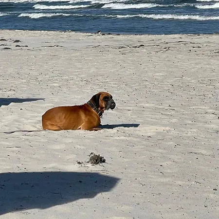 Lejlighed Meinstrandnest