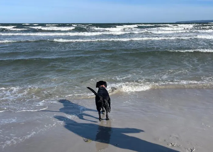 Meinstrandnest * Juliusruh