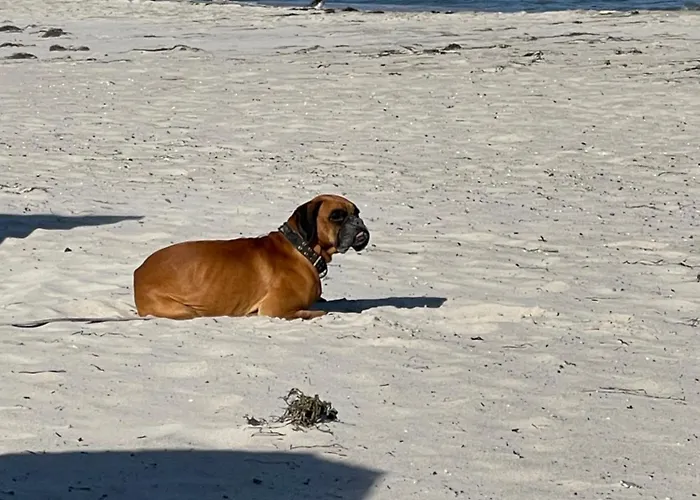 Lägenhet Meinstrandnest